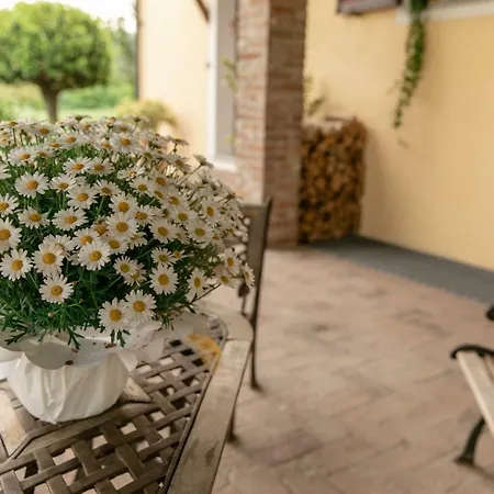 La Casa In Collina Apartmán Alba (Piedmont)